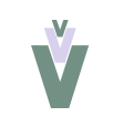VS-cleaning-company